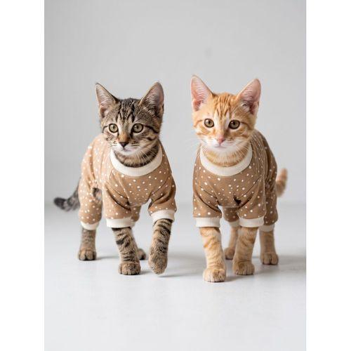 Latte Sprinkles Kedi Tulumu | Pamuklu Penye Kedi Kıyafeti | Küçük Irklar İçin | Tüy Dökülmesini Azaltır