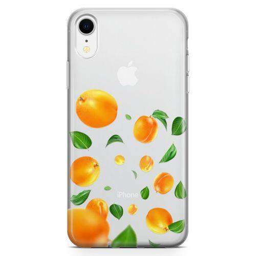 Apple iPhone XR Kılıf Kayısılar Arka Kapak Koruma Desenli Full Koruyucu