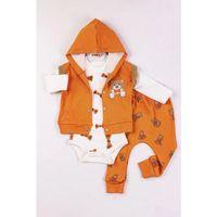 Bear Nakışlı Yelekli 3'lü Erkek Bebek Takımı