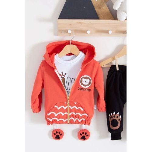 Aslan Desenli 3'lü Erkek Bebek Takımı