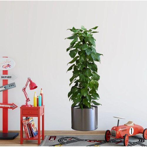 Eğitici Oyuncak Saksılı Bitki Tasarımlı Yapışkanlı Sticker Resim 90*30 cm MC-665