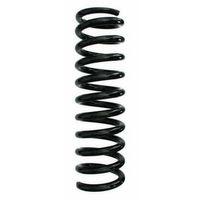 SACHS Helezon Yayı Arka A1243241204 W124