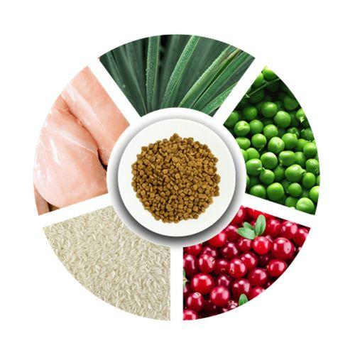 Prochoice Kısırlaştırılmış Kediler İçin, Hipoalerjenik, Tavuk Etli Ve Pirinçli Kuru Mama 15 kg