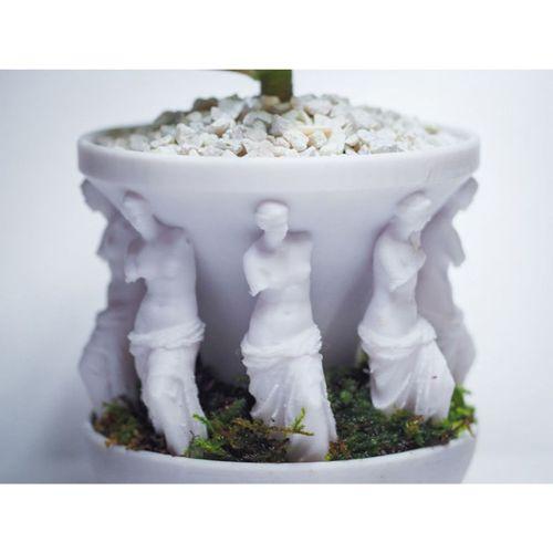 Sekiz Milo Saksı (Bu ürün Sadece Plastik parçadır - Almadan Önce Soru Sorabilirsiniz)