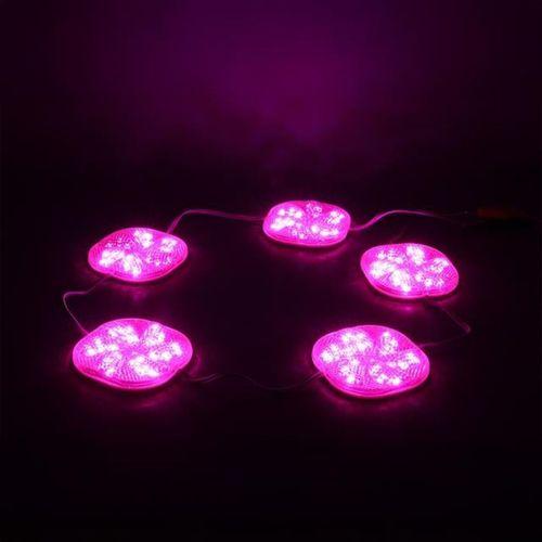 PowerMaster PM-14701 12 Volt 3 Watt Pembe Yanıp Sönen Çakar 6565-2835 Modül Led 65x65x12mm