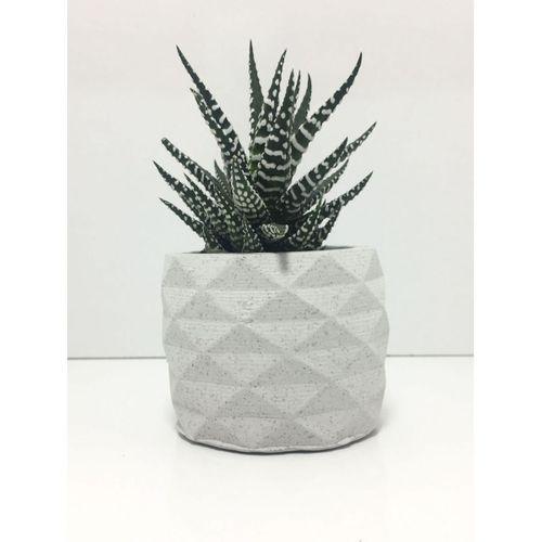 Geometrik Beton Saksı ve Canlı Sukulent - YE1605