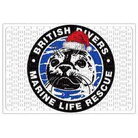 Marine Life Rescue Puzzle 240 Parça Yapboz