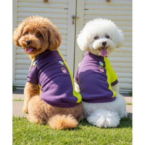 Dondurmalı Patiler Polar Sweatshirt - Ufak Irk Köpekler İçin