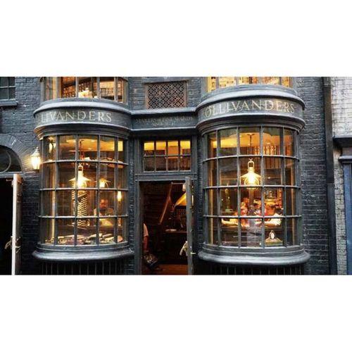 Harry Potter Asa Replika Aksesuarı (Bu ürün Sadece Plastik parçadır - Almadan Önce Soru Sorabilirsiniz)