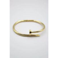 Taşsız Çivi Çelik Bilezik - Altın