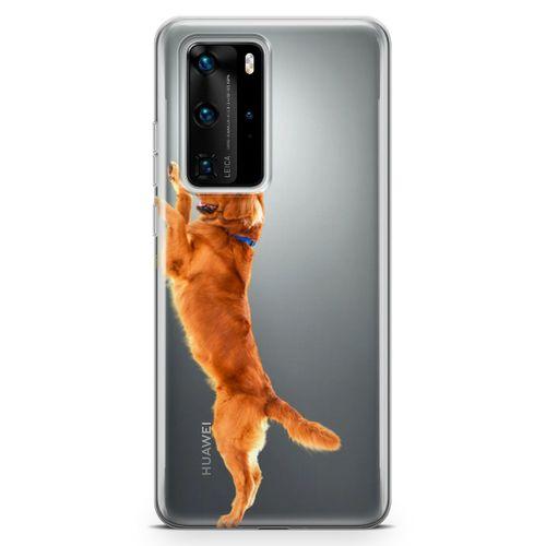 Huawei P40 Pro Kılıf Golden Retriever Arka Kapak Koruma Desenli Full Koruyucu