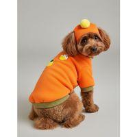 Pineapple and Ice Cream Turuncu Haki Bereli Köpekler İçin Polar Sweatshirt Takım