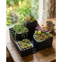 3d Kaktüs Saksı Seti Çok Bölmeli Modern Dekoratif Masaüstü Bitki Standı
