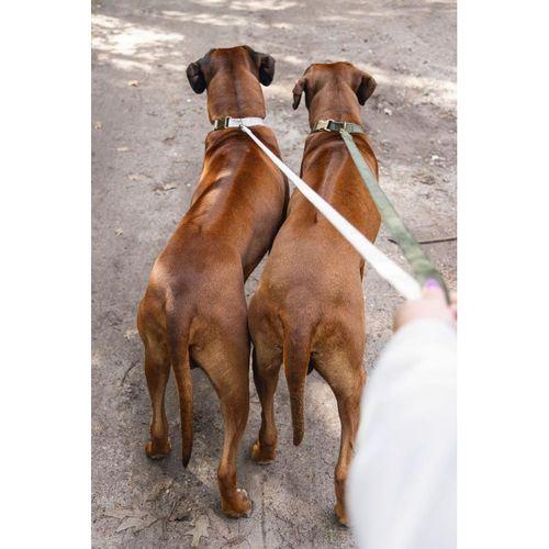 Beeztees DBL Köpek Tasması, Kadife, Gri, 48-70cm, 25mm