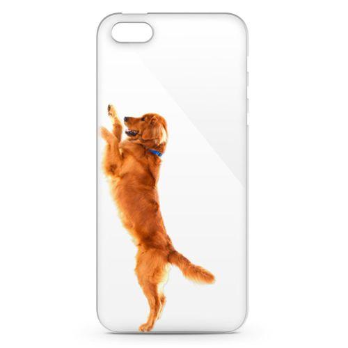Apple iPhone 5s Kılıf Golden Retriever Arka Kapak Koruma Desenli Full Koruyucu