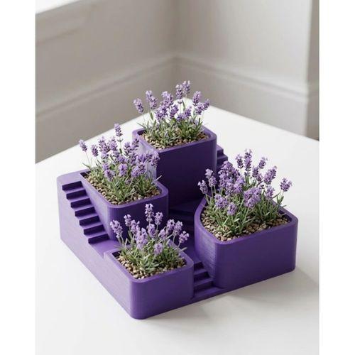 3d Kaktüs Saksısı Modern Çok Bölmeli Dekoratif Tasarım