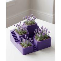 3d Kaktüs Saksısı Modern Çok Bölmeli Dekoratif Tasarım