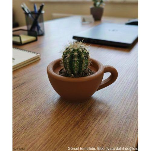 Kahverengi Mini Dekoratif Fincan Şeklinde Saksı – 6 Cm Masaüstü & Ofis Dekoru