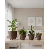 4lü Vazo Kahverengi