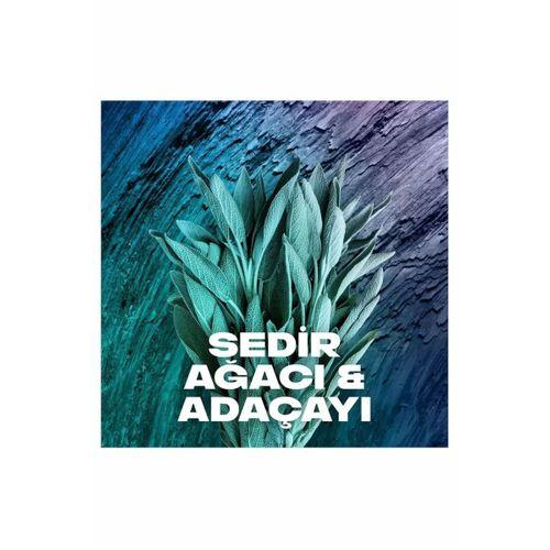 Axe Erkek Sprey Deodorant Apollo 48 Saat Etkileyici Koku Vücut Spreyi 150 ml