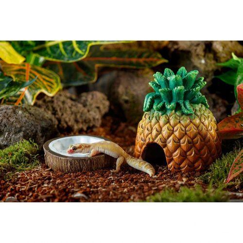 Exo Terra Ex Coconut Sürüngen Saklanma Alanı ve Su Kabı