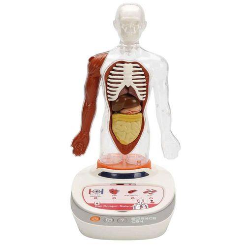 S00005280 BİLİM SET İNSAN VÜCUDU MODELİ 23PRÇ