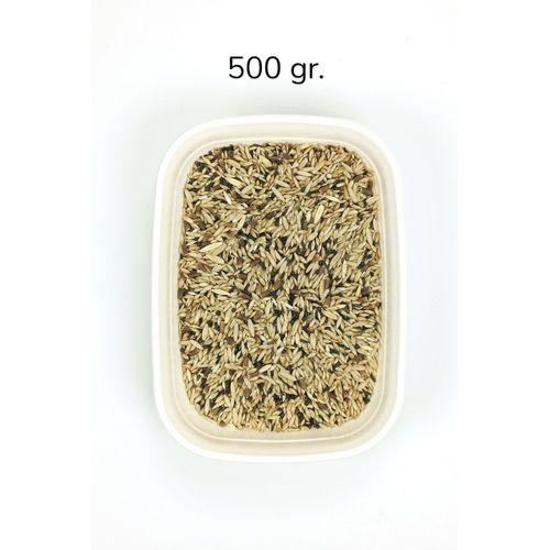 Kanarya Karışık Kuş Yemi Doğal Taze - 500 gr