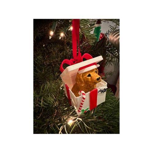 Max S İlk Noel (Bu ürün Sadece Plastik parçadır - Almadan Önce Soru Sorabilirsiniz)