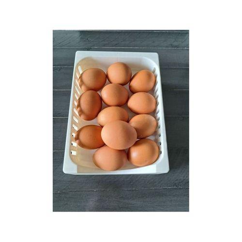 Yumurta Kutusu 3D Baskı (Bu ürün Sadece Plastik parçadır - Almadan Önce Soru Sorabilirsiniz)