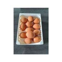 Yumurta Kutusu 3D Baskı (Bu ürün Sadece Plastik parçadır - Almadan Önce Soru Sorabilirsiniz)