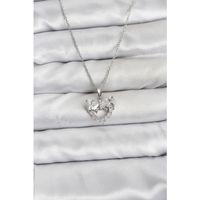 316L Çelik Zincir Gümüş Renk Kalp ve Fiyonk Model Zirkon Taşlı Kadın Kolye