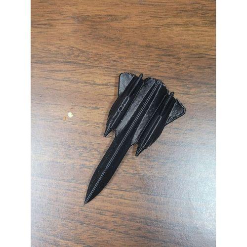 SR-71C Blackbird Trainer-5138956