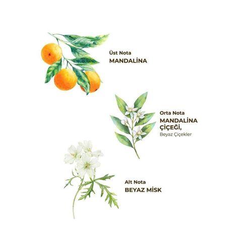 Eyüp Sabri Tuncer Eyüp Sabri Tuncer Kolonya Pet Şişe Sprey 150ml Bodrum Mandalinası
