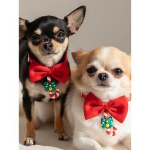 Christmas Candy Yılbaşı Köpek Papyon Tasması | Kırmızı Fiyonk Boyun Aksesuarı | Noel Temalı Köpek Süsü
