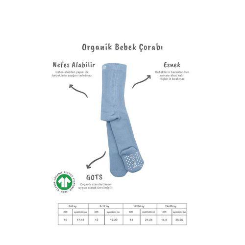 Bistyle Bistyle Tekli Kaymaz Basic Külotlu Çorap BS50501B Mavi