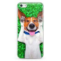 Apple iPhone 5 Kılıf Pozcu Arka Kapak Koruma Desenli Full Koruyucu