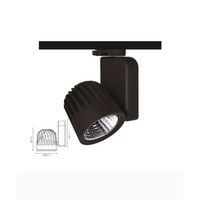 40W RAY SPOT