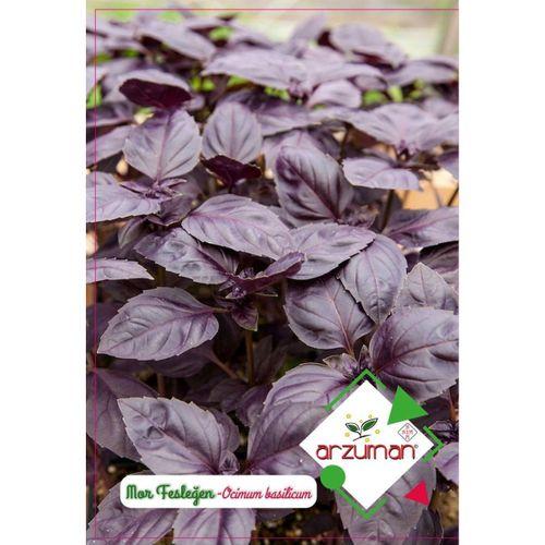 Mor Fesleğen (Reyhan) Tohumu 100 Adet