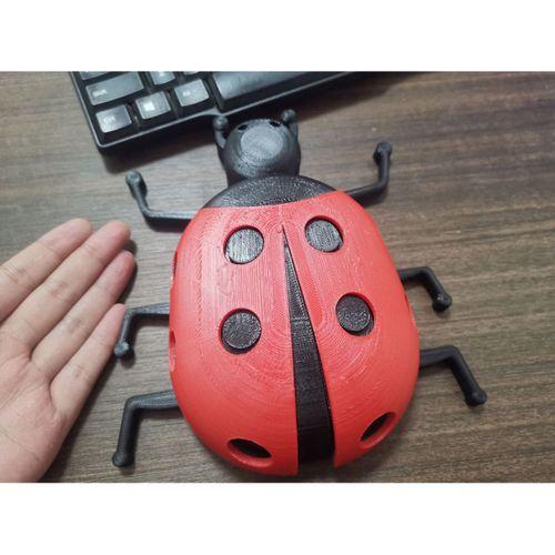 Büyük Ladybug - 5146145