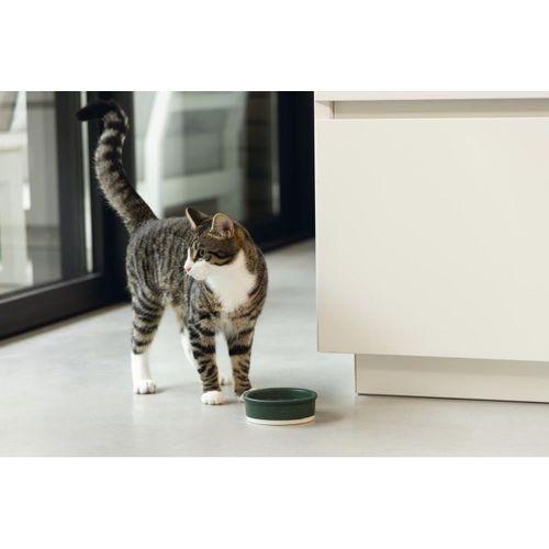 Beeztees DBL Kedi Mama Su Kabı, Seramik, Mat Yeşil, 12cm, 300ml