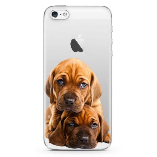 Apple iPhone 5 Kılıf Amstaff Dachshund Arka Kapak Koruma Desenli Full Koruyucu