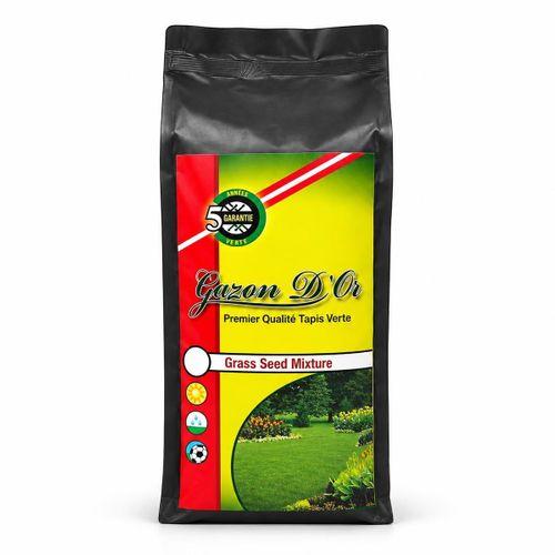 Lolium Perenne Belida İthal Çim Tohumu 1 kg
