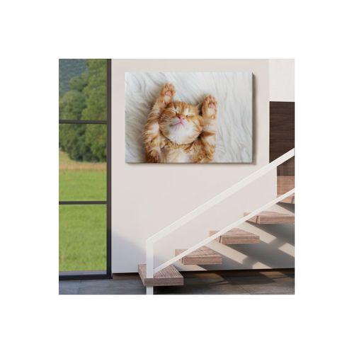 Yavru Kedi Dekoratif Kanvas Tablo 1125