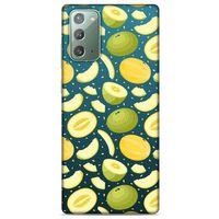 Frutix Kavun 01 Samsung Galaxy Note 20 Kılıf Desenli Silikon