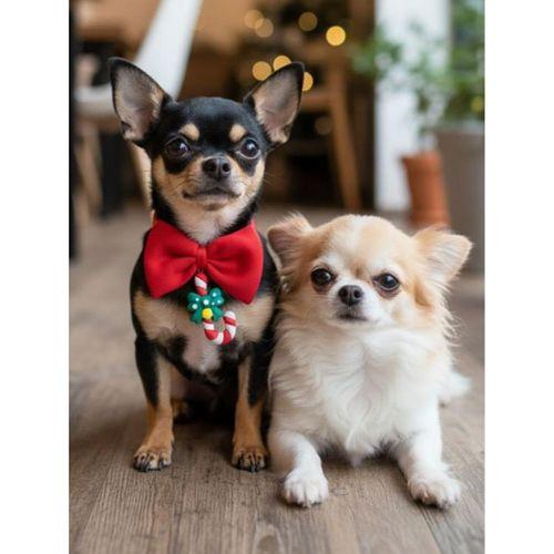Christmas Candy Yılbaşı Köpek Papyon Tasması | Kırmızı Fiyonk Boyun Aksesuarı | Noel Temalı Köpek Süsü