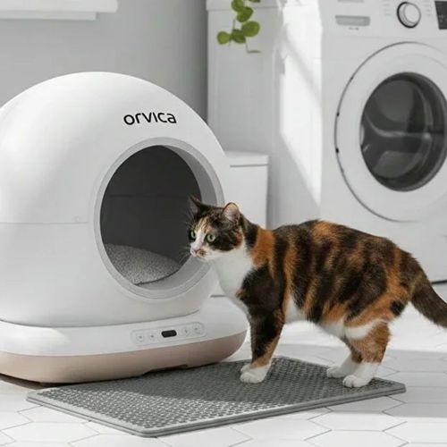 Hd Kameralı Akıllı Kedi Tuvaleti