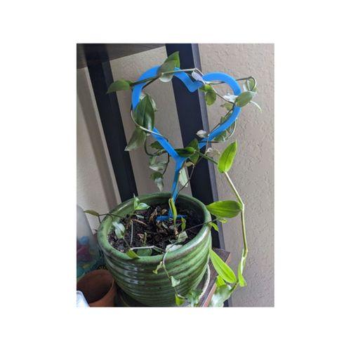 Kalpli Kafes 3D Baskı (Bu ürün Sadece Plastik parçadır - Almadan Önce Soru Sorabilirsiniz)