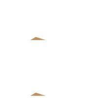 Bambu Peynir Sunum Tepsi Seti Royaleks-PS3819