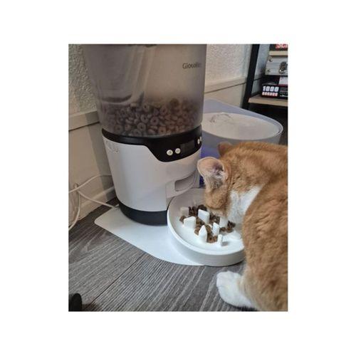 Kedi Yavaş Mama Kabı