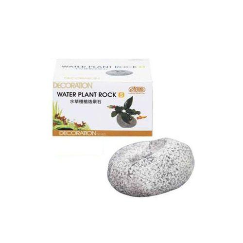 Ista Bitki Kayası Küçük Boy i939